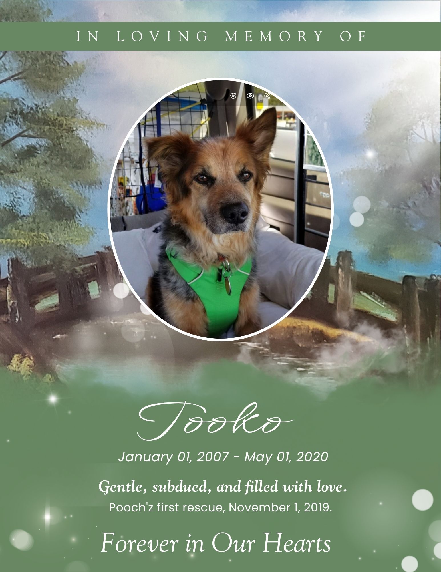 Tooko