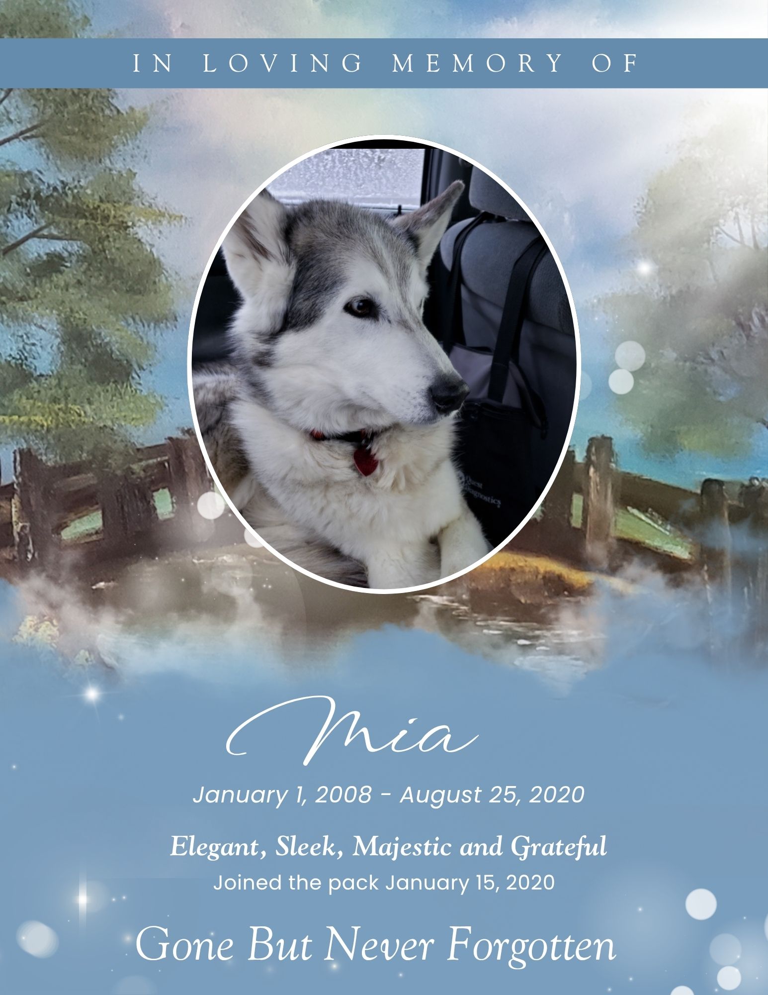 Mia