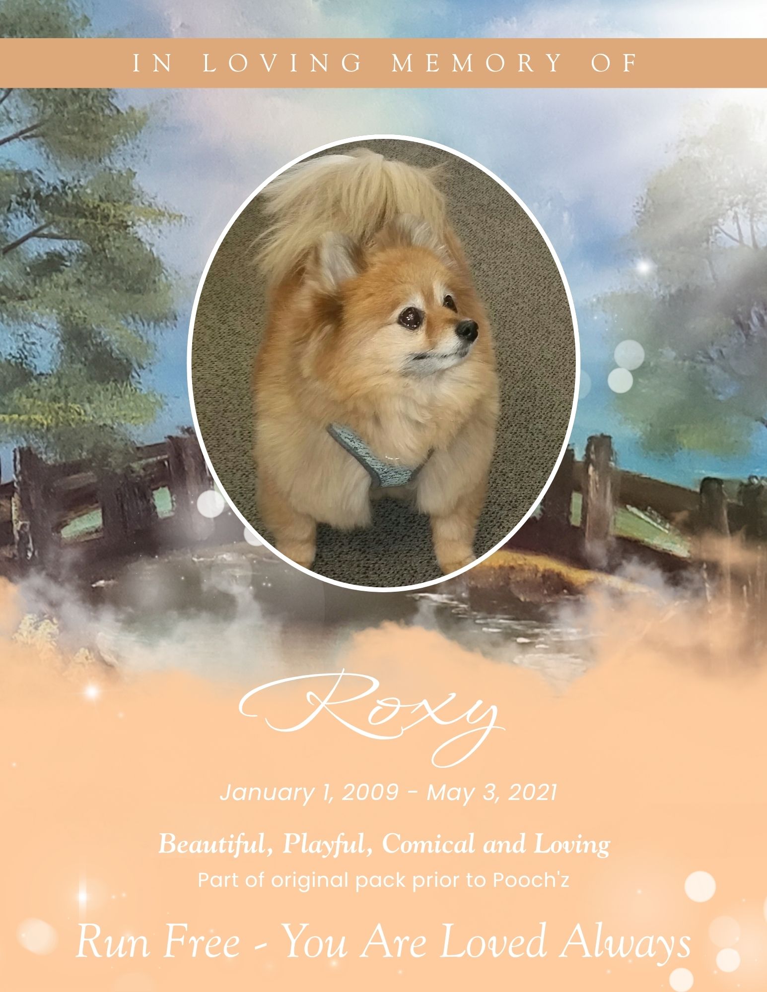 Roxy