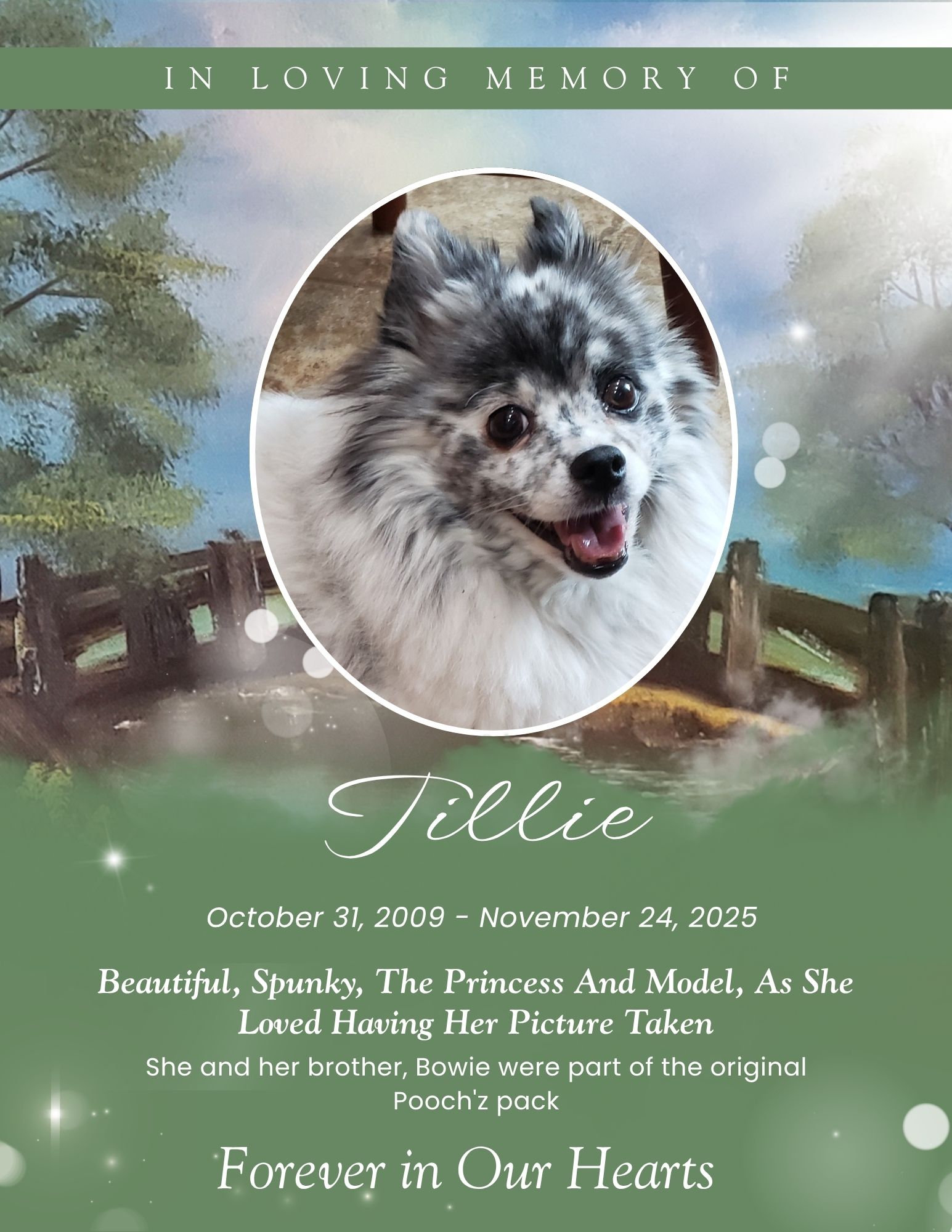 Tillie