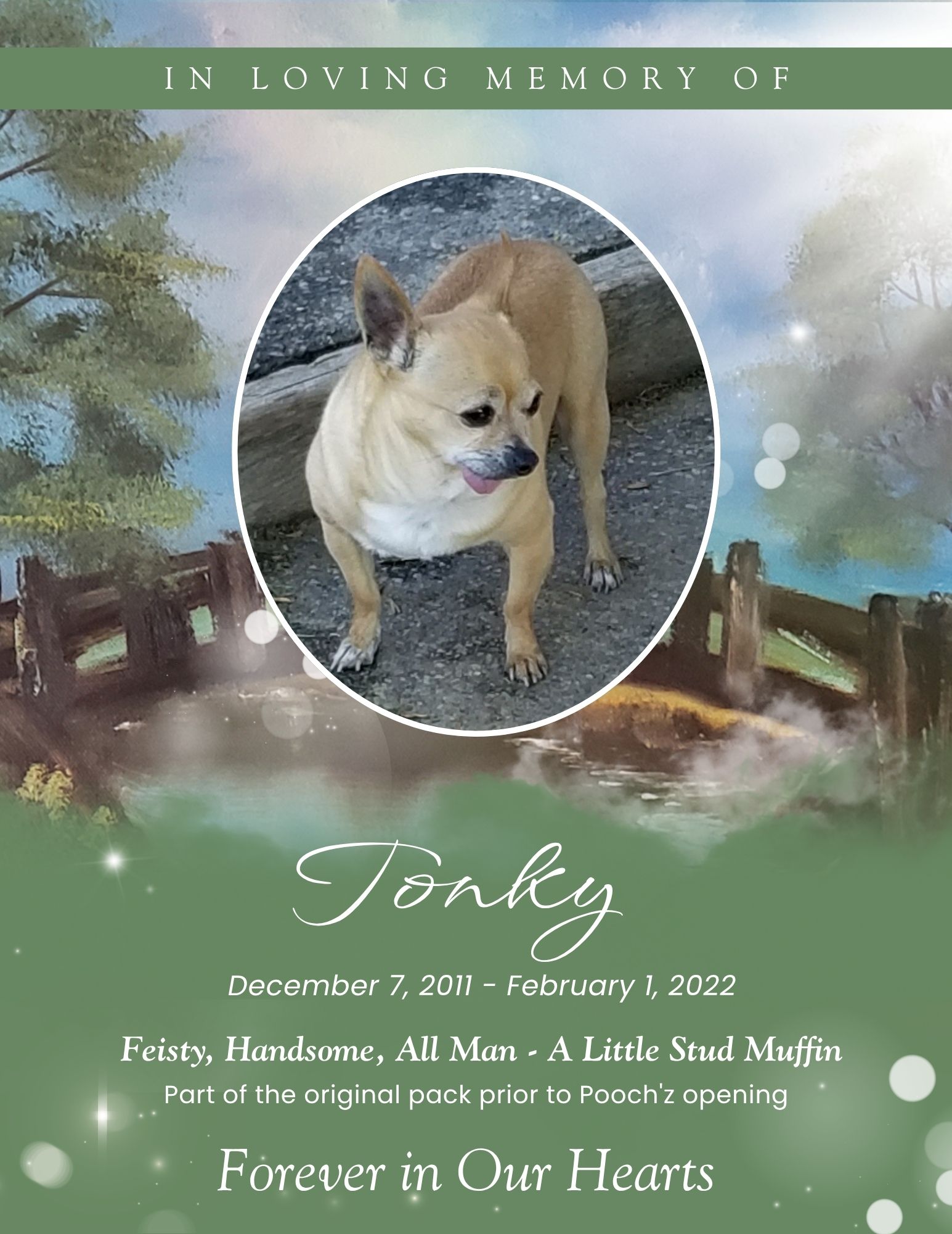 Tonky