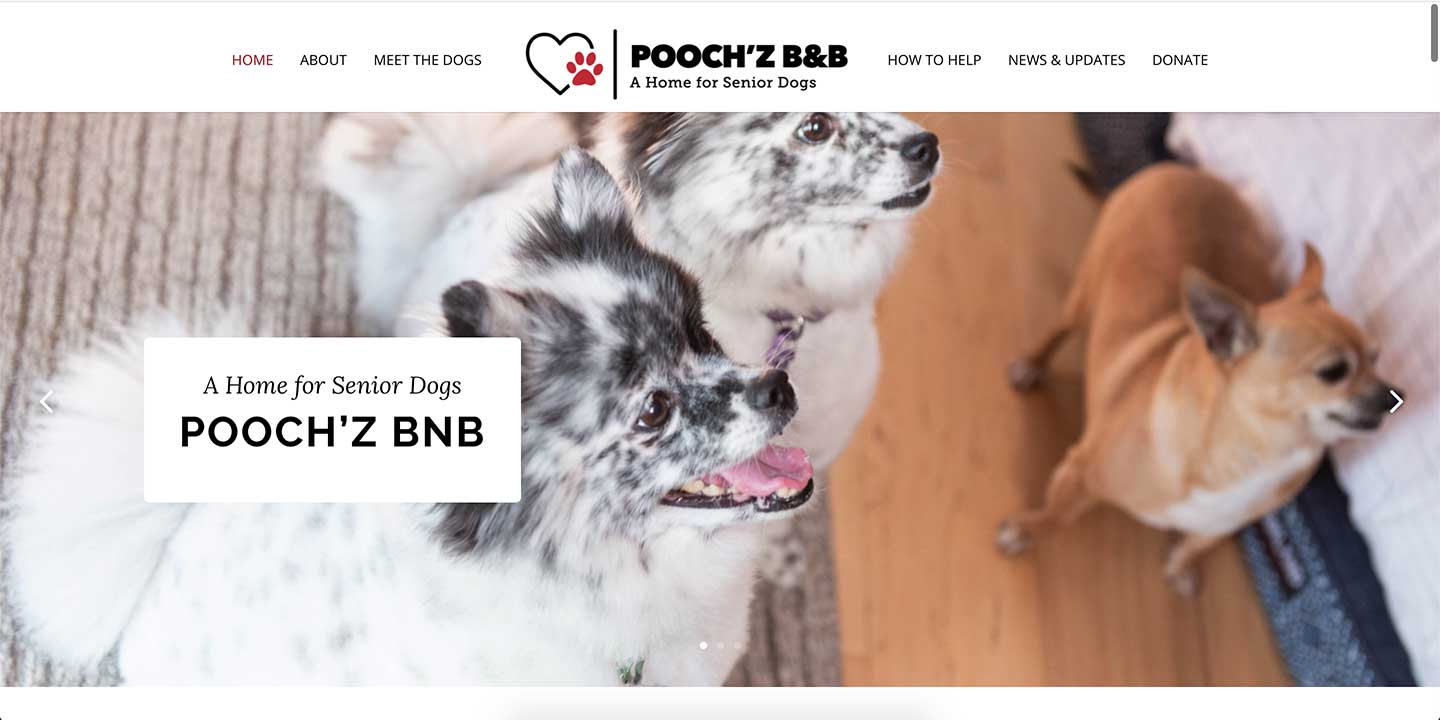 Poochz B&b logo