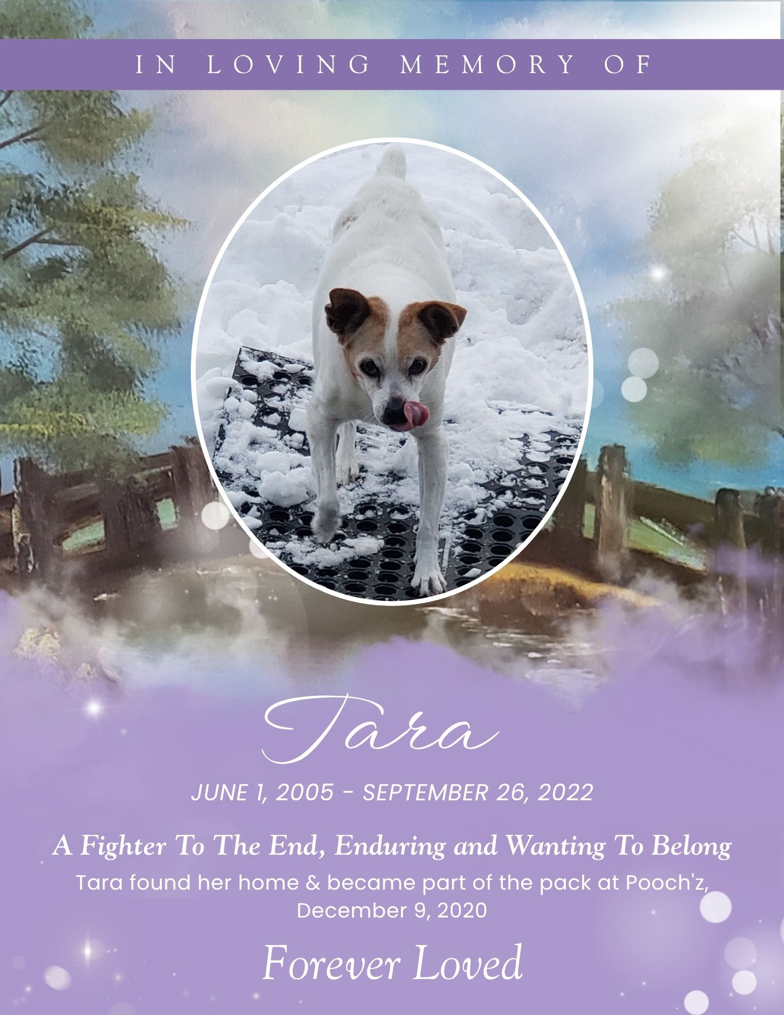 Tara