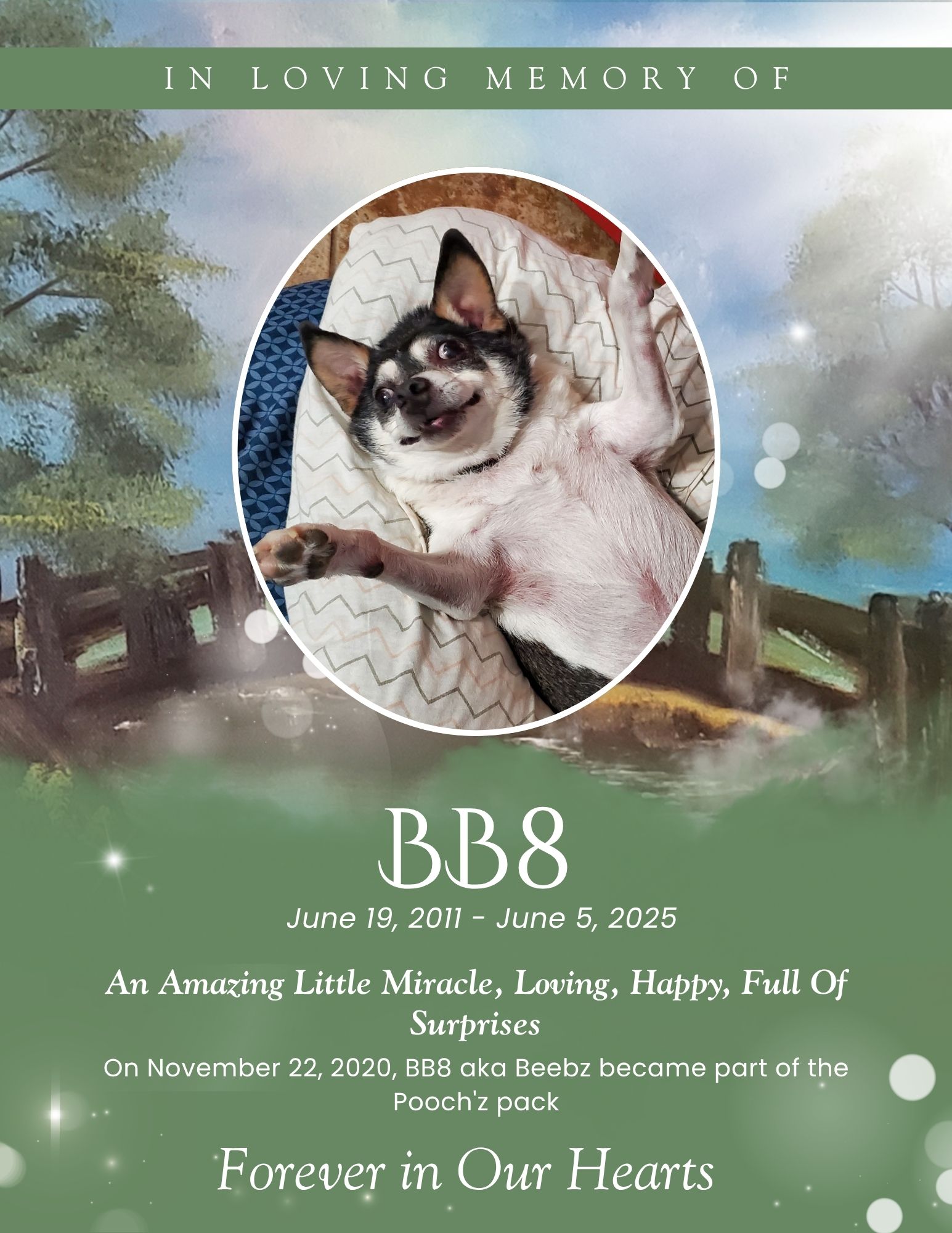 BB-8 (Beebs)