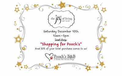 Joy of Living – Shopping for Pooch’z