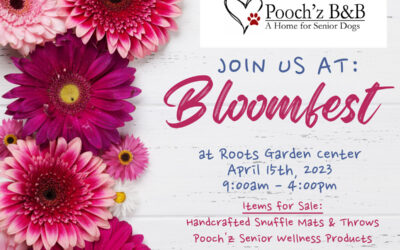 Bloomfest – Saturday, April 15th, 2023