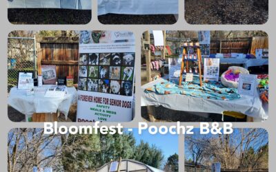 Bloomfest at Roots Garden Center