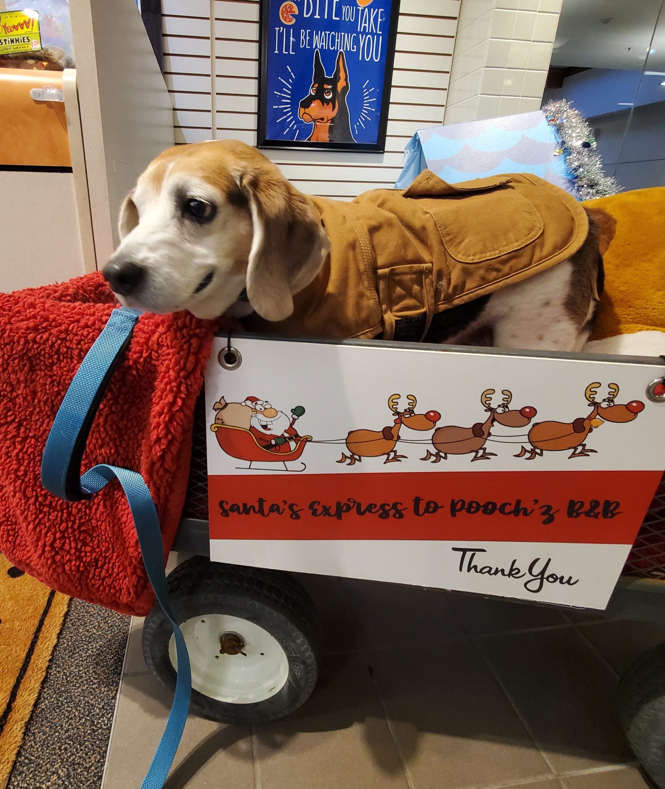 Holiday Giving Tree and Giving Boxes | December 2023