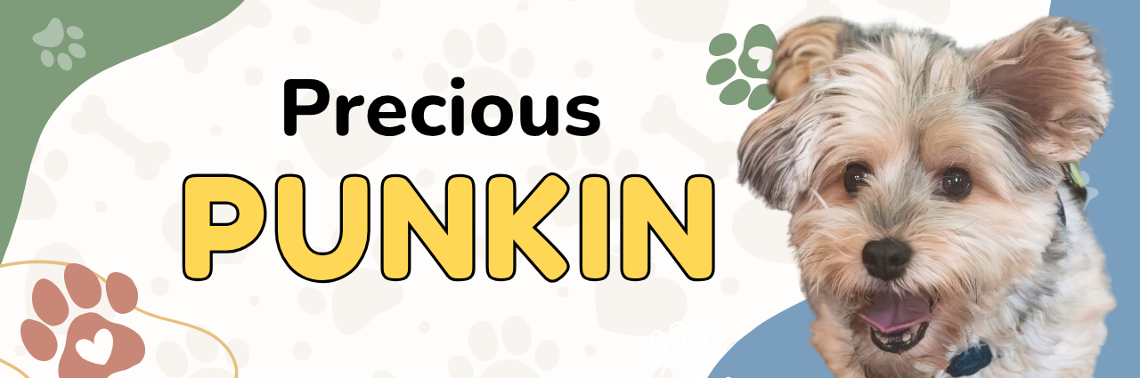 Punkin