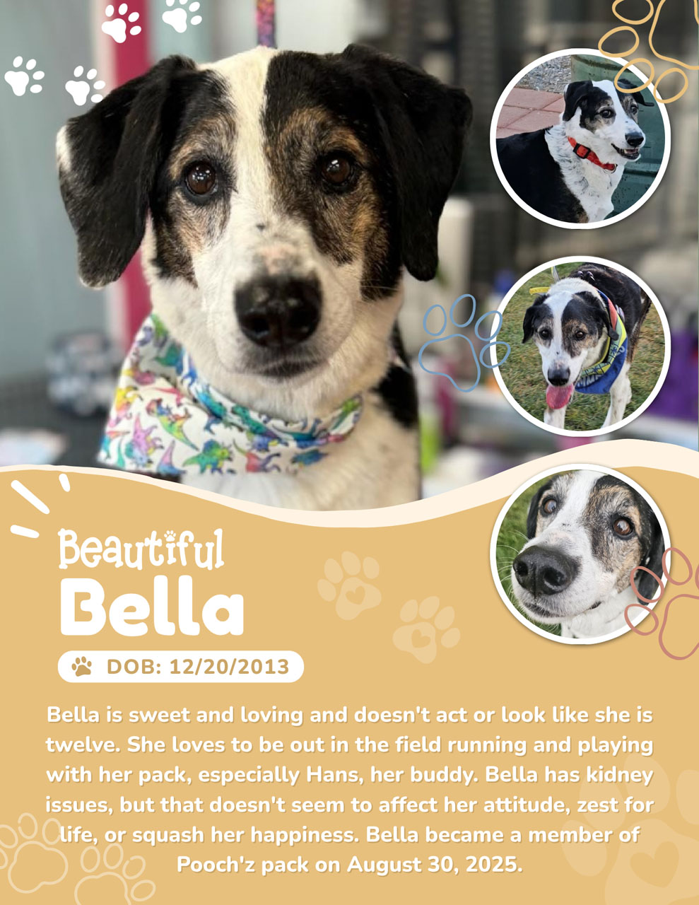 Bella