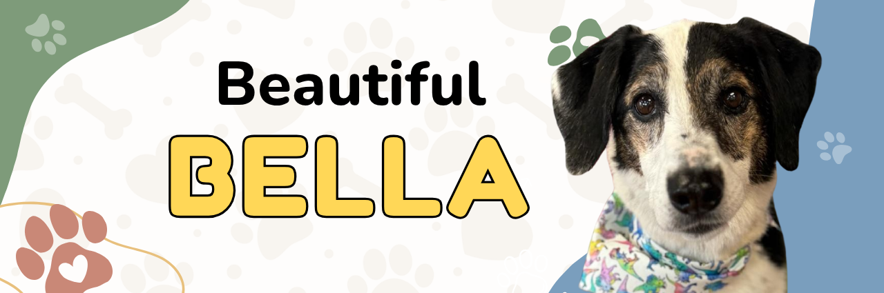 Bella