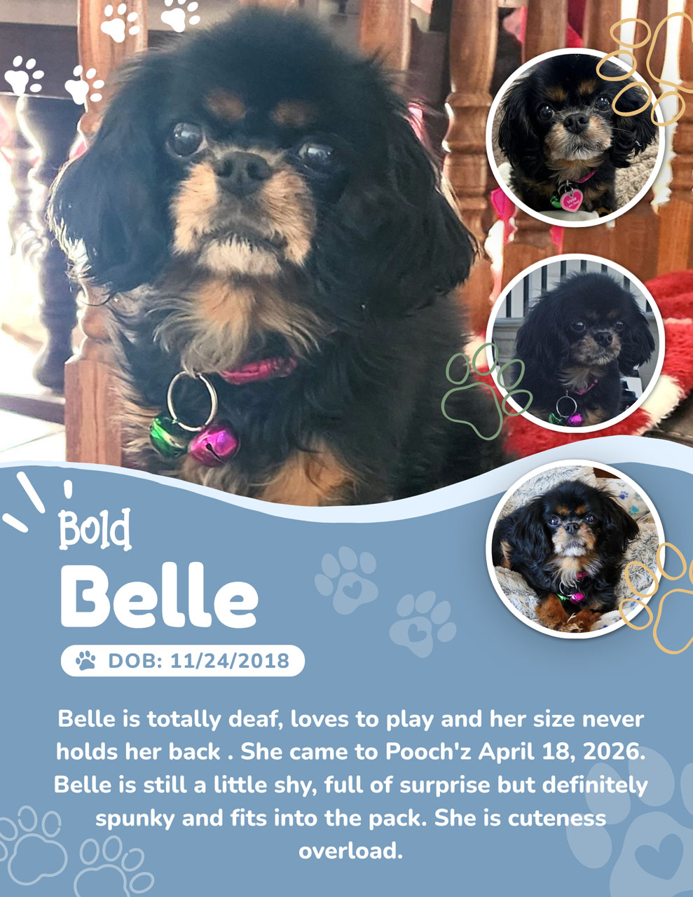 Belle