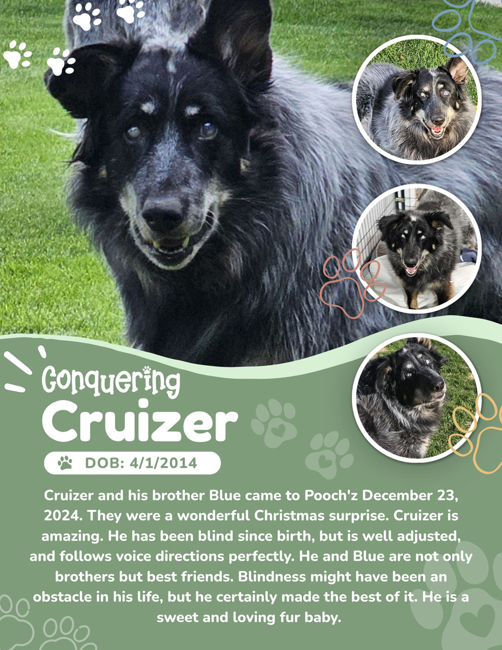 Cruizer