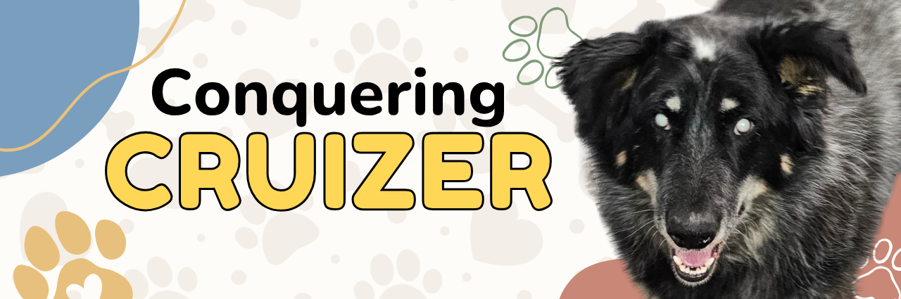 Cruizer