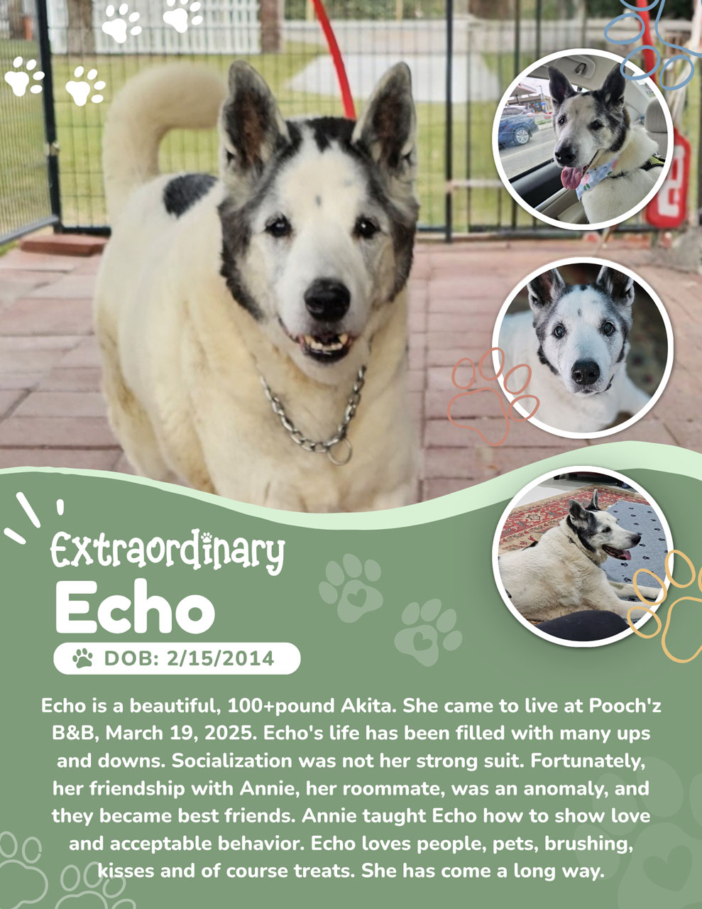 Echo