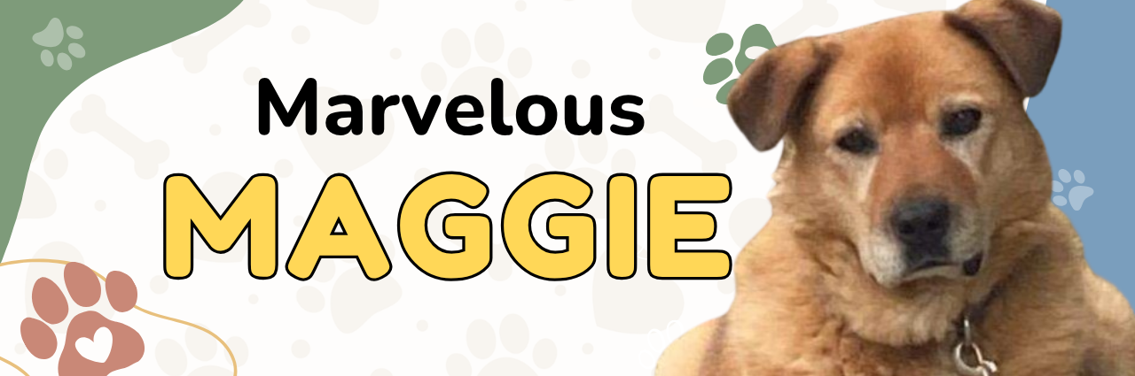 Maggie