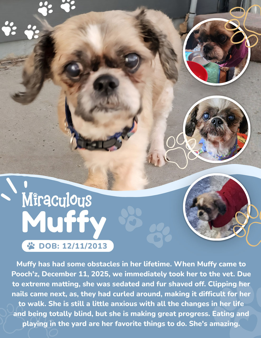Muffy