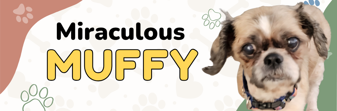 Muffy