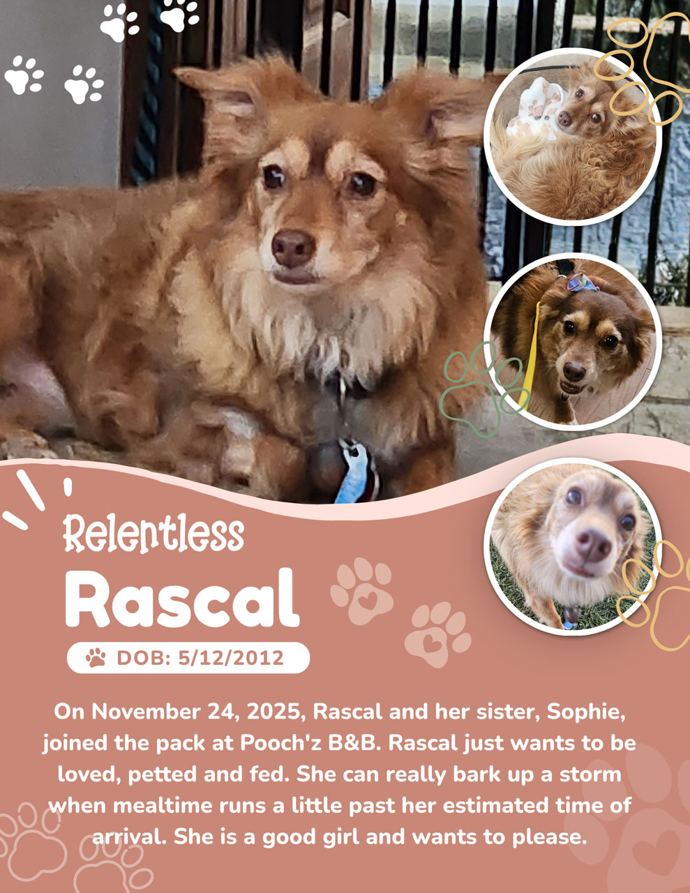 Rascal