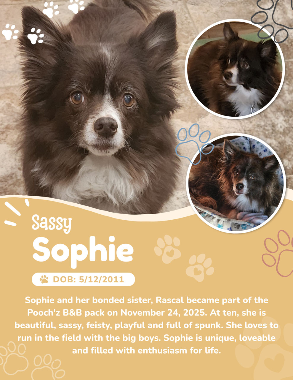 Sophie