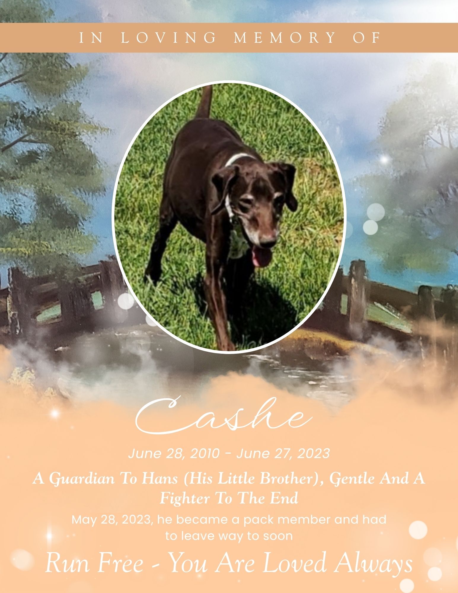 Cashe