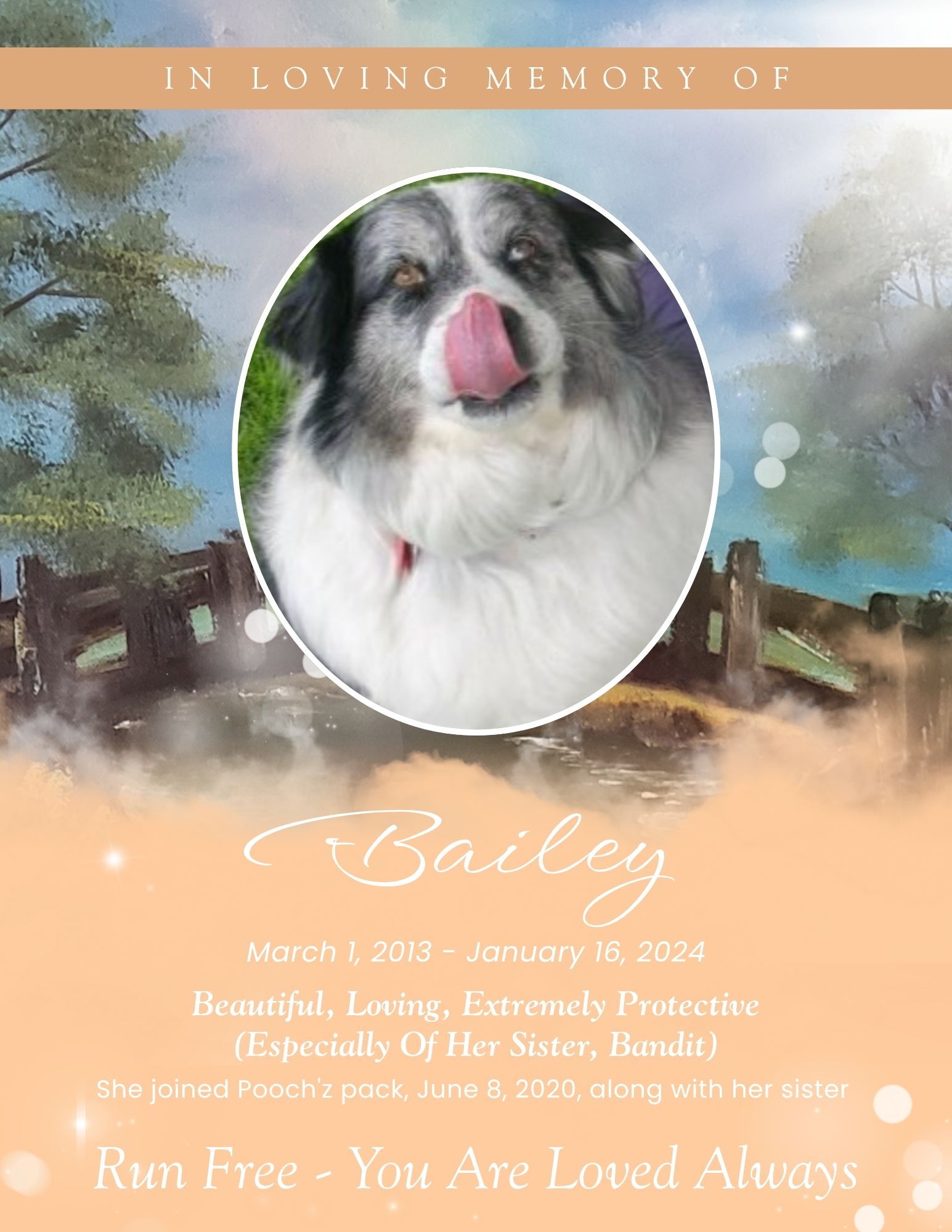 Bailey