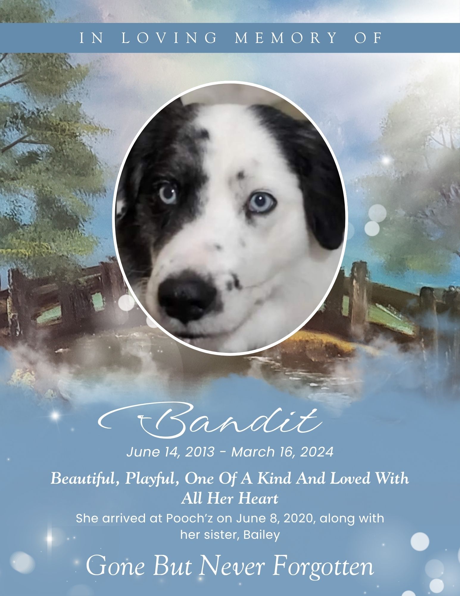 Bandit