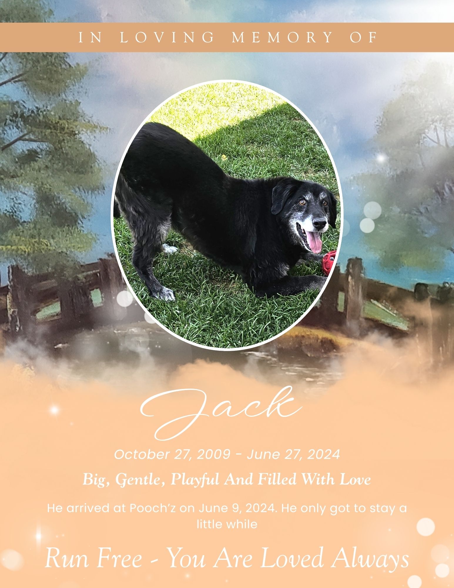 Jack