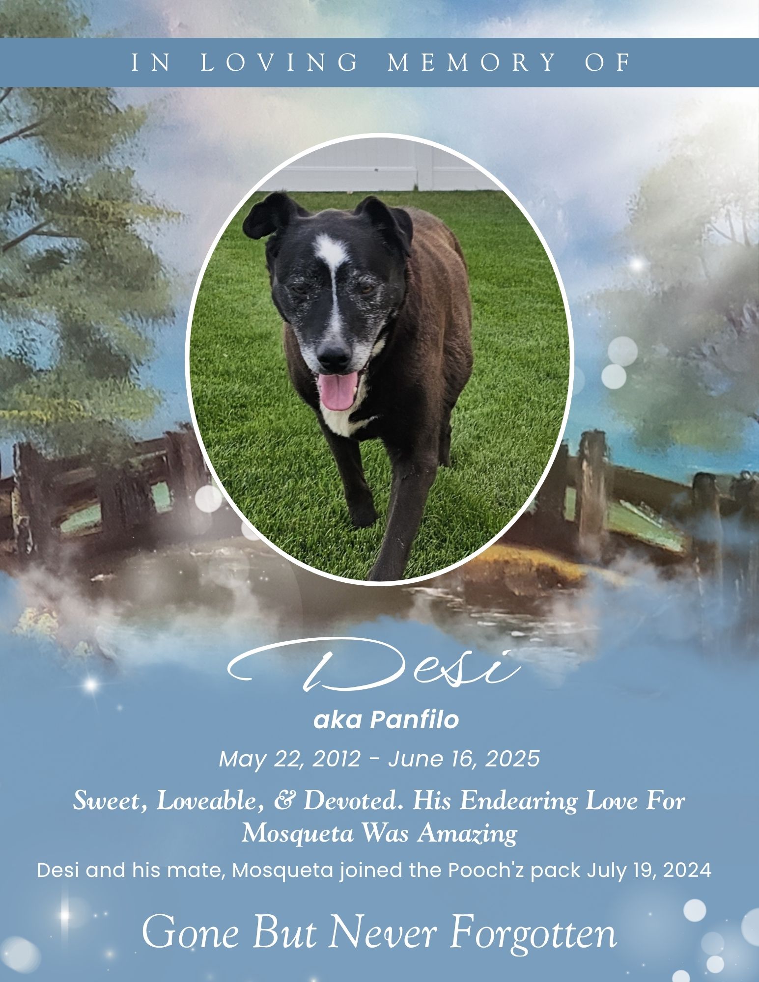 Desi (aka Panfilo)