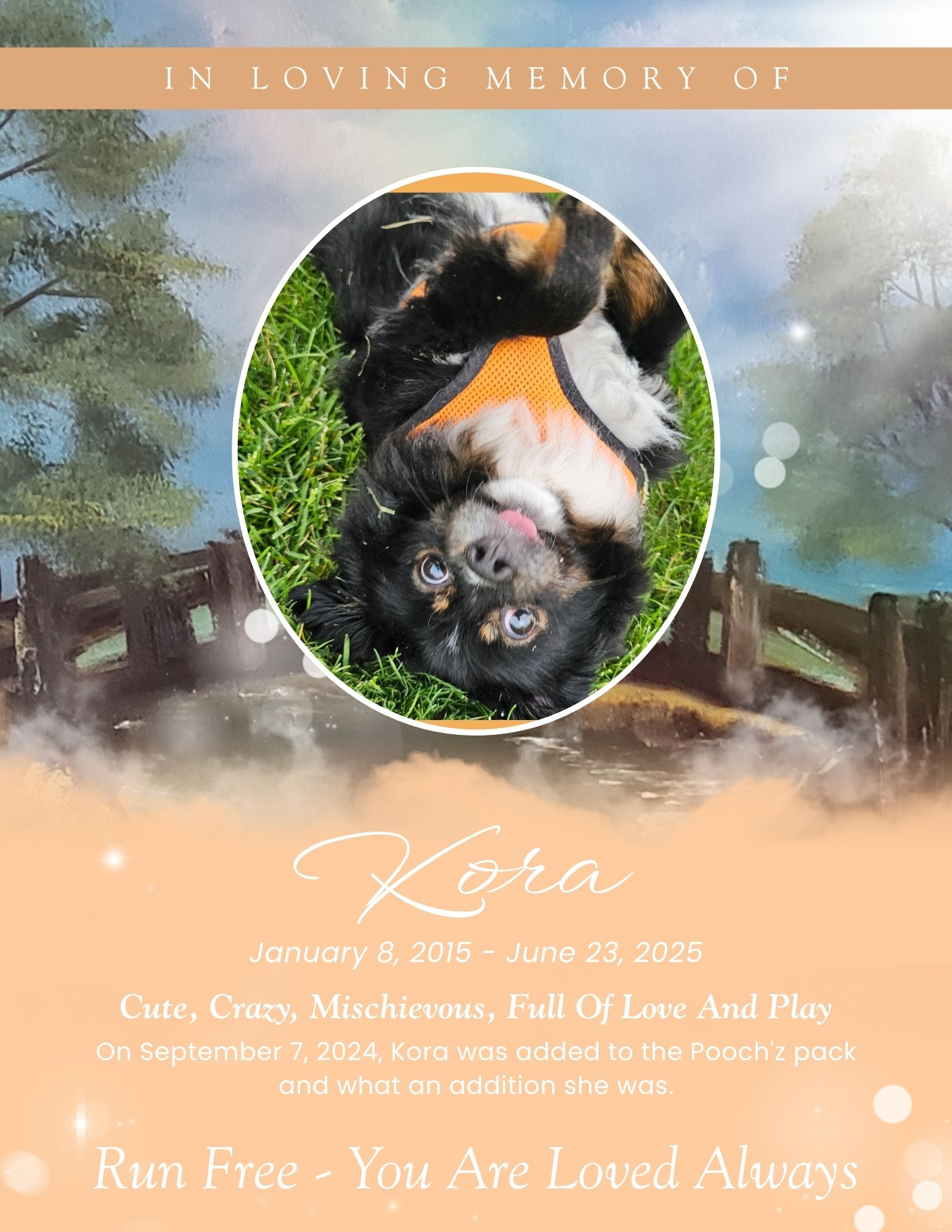 Kora
