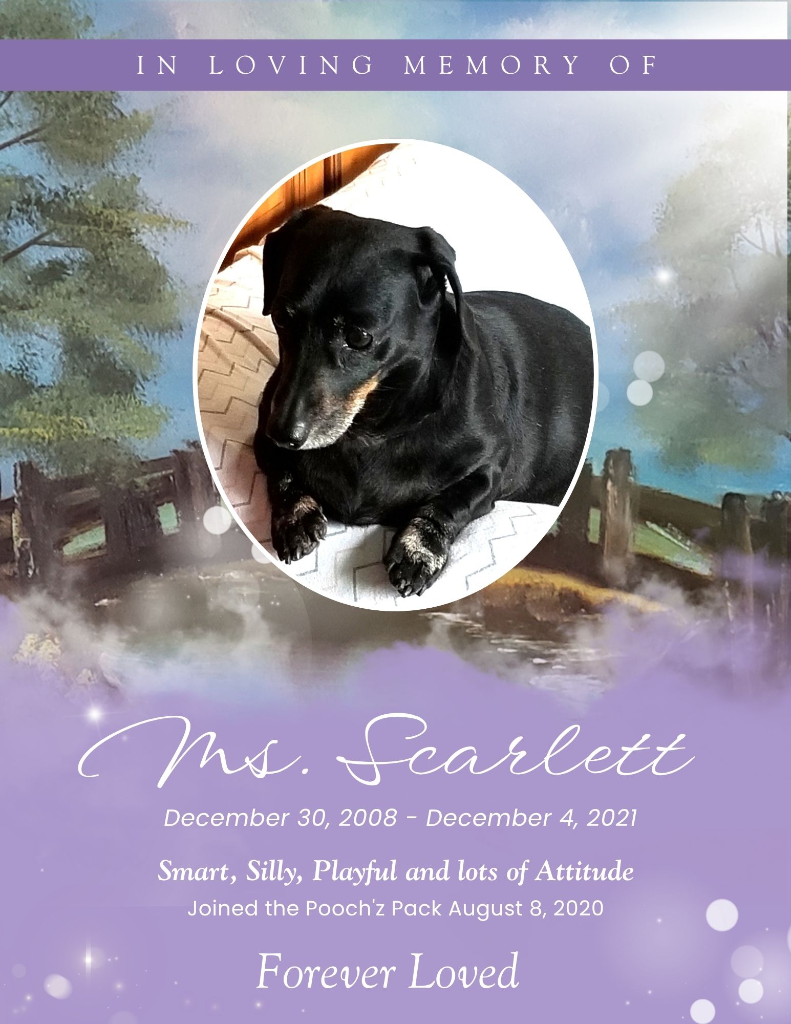 Ms. Scarlett